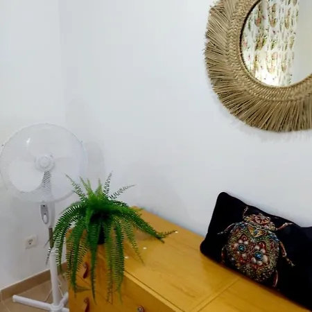 Greenhouse Apartment Sardina