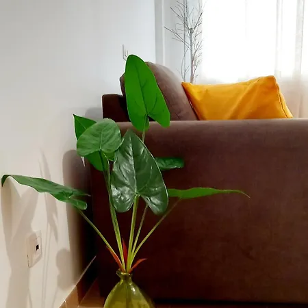 Apartmán Greenhouse